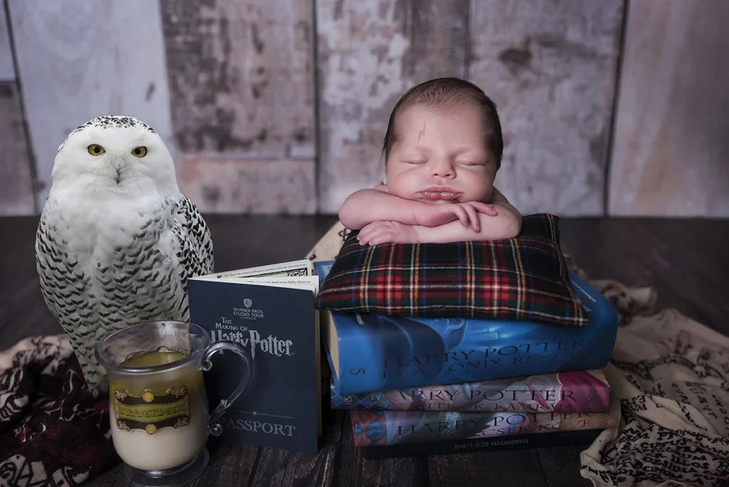 Harry Potter stílusú újszülött fotózás igazi fehér bagollyal